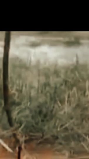 TikTok video thumbnail by user2llkmlef01