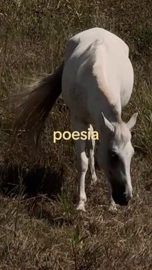 TikTok video thumbnail by grasielavie
