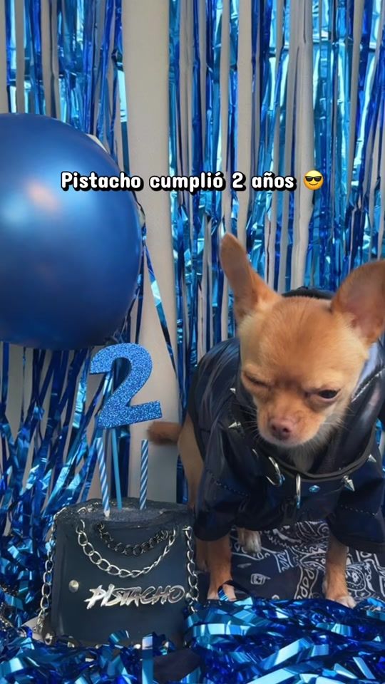 TikTok video thumbnail by soypistacho___