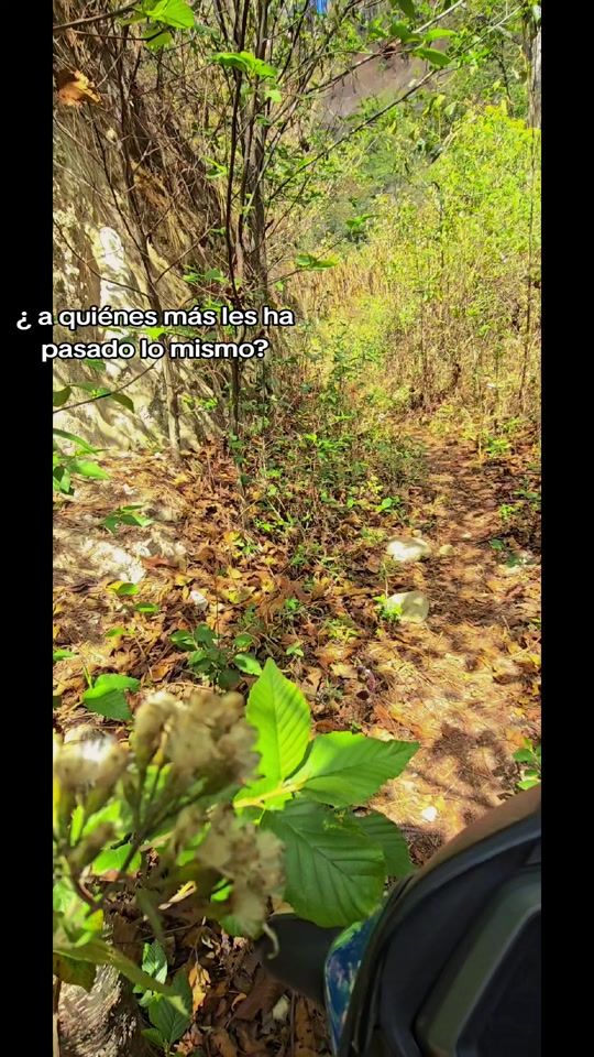 TikTok video thumbnail by moises_soc