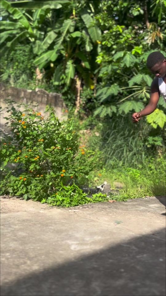 TikTok video thumbnail by rolly.the.vision