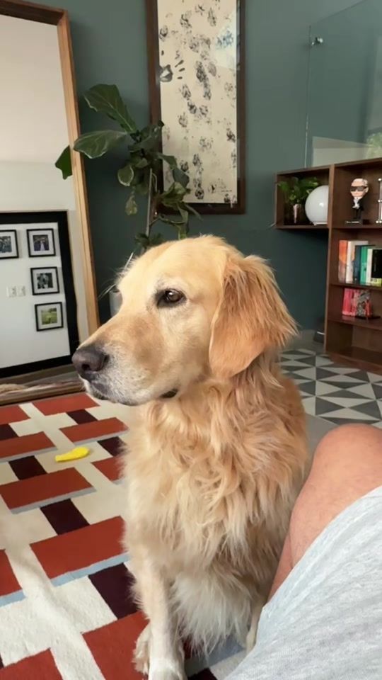 TikTok video thumbnail by saul_dt