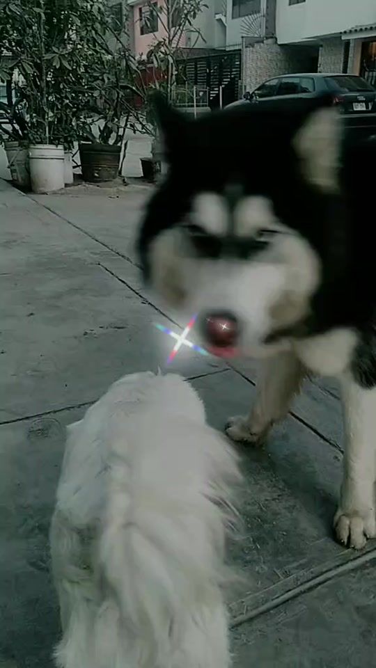 TikTok video thumbnail by jimaley