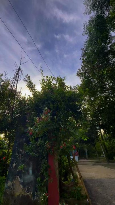 TikTok video thumbnail by picchi.tashuuuu