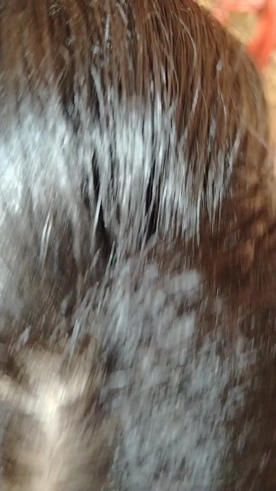 TikTok video thumbnail by bolon...shipra