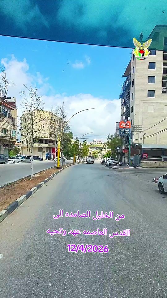 TikTok video thumbnail by abo.shadi84
