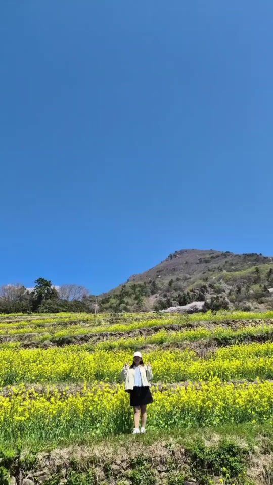 TikTok video thumbnail by user530171349