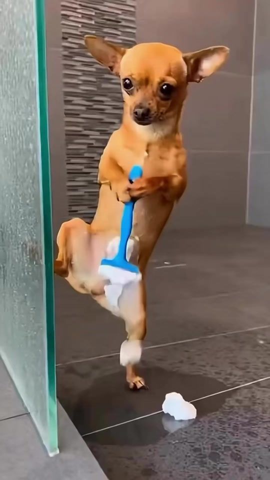 TikTok video thumbnail by ximeactriz