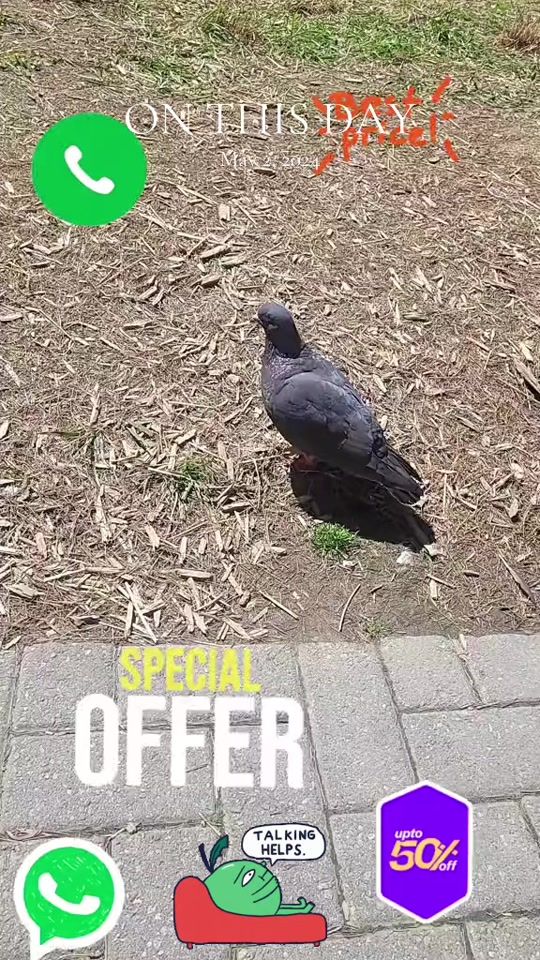 TikTok video thumbnail by mahek.416