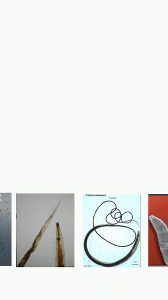 TikTok video thumbnail by augplatform