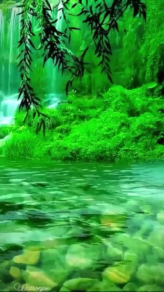 TikTok video thumbnail by musilmanka.35