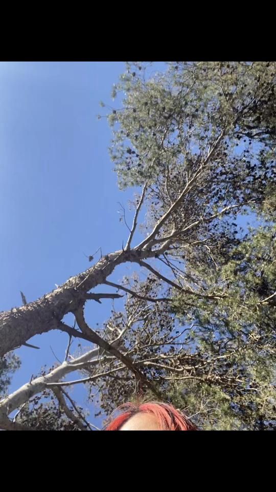 TikTok video thumbnail by tatiha31