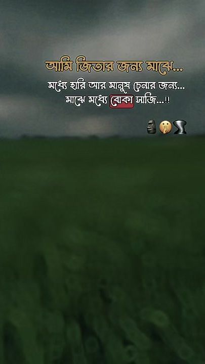 TikTok video thumbnail by 2utamim