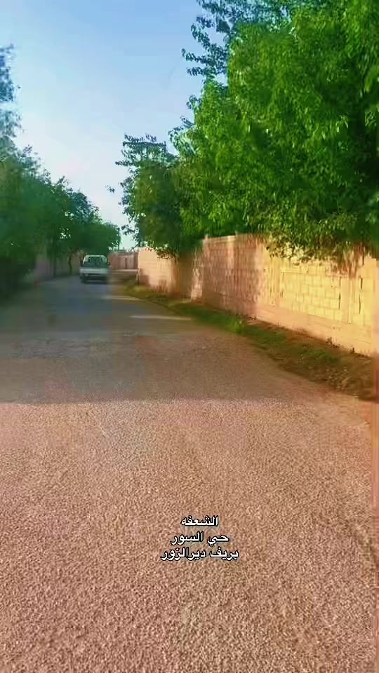 TikTok video thumbnail by 1993x10