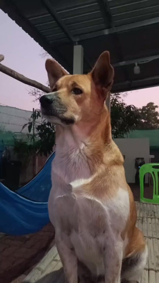 TikTok video thumbnail by i_am.j_sup