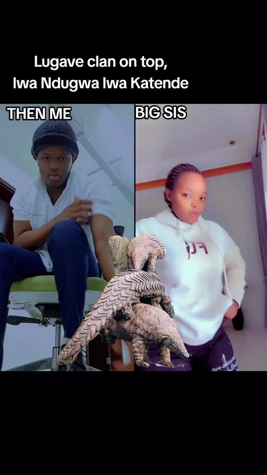 TikTok video thumbnail by lovegenius3
