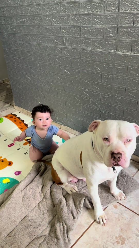 TikTok video thumbnail by shiro_pit