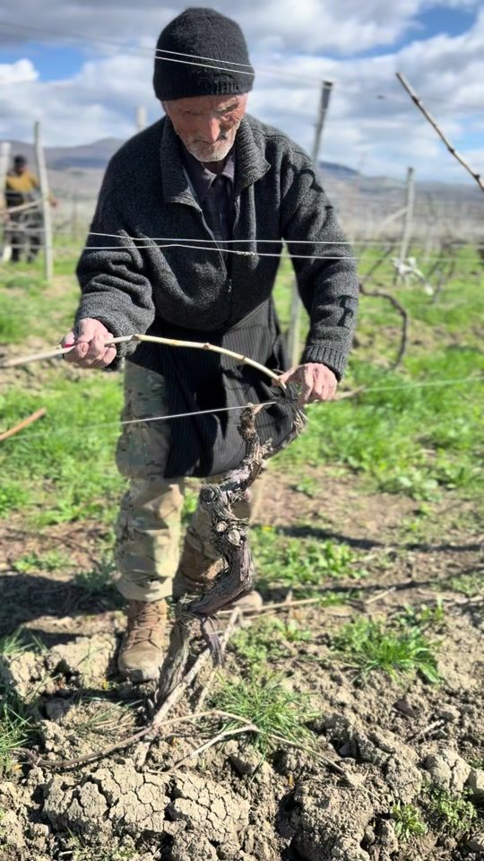 TikTok video thumbnail by manavi_estate