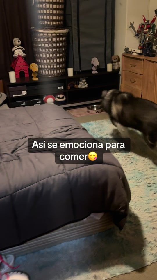 TikTok video thumbnail by jennyyommi