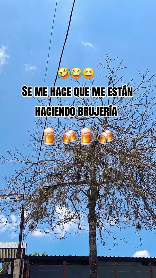 TikTok video thumbnail by elpapadelosbolos