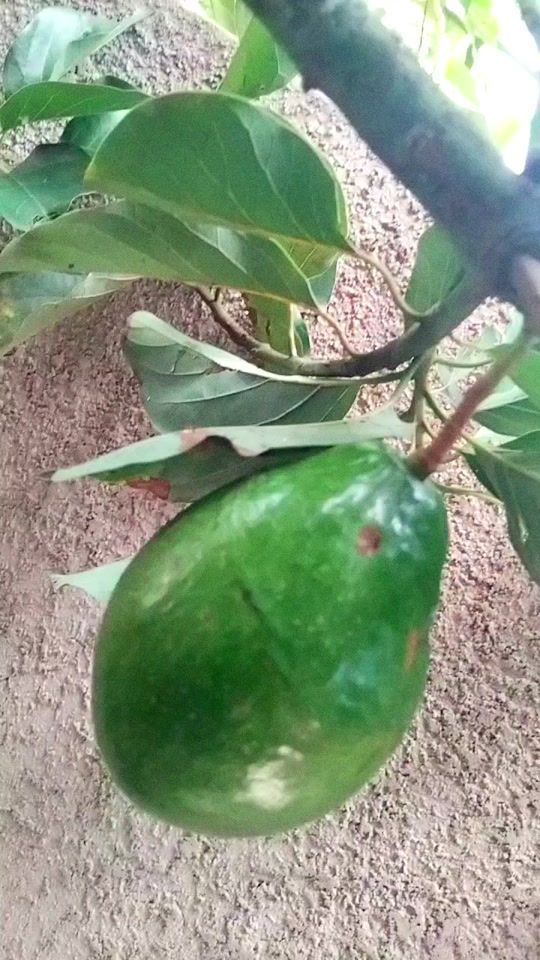 TikTok video thumbnail by shashasha185