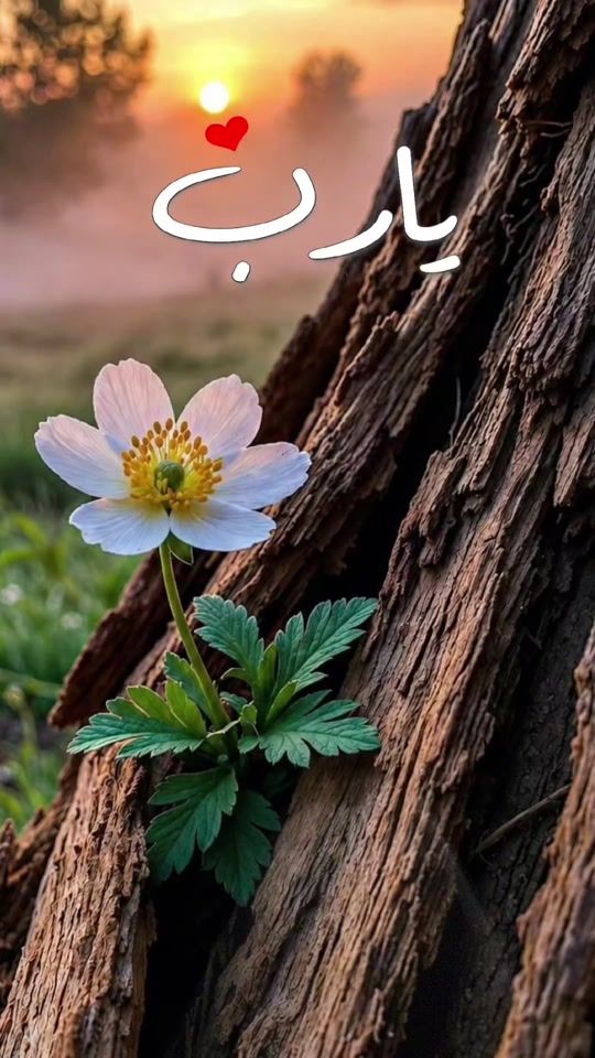 TikTok video thumbnail by azoz.97a