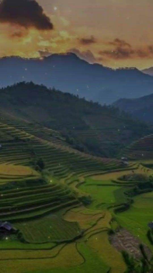 TikTok video thumbnail by noidea_doyou