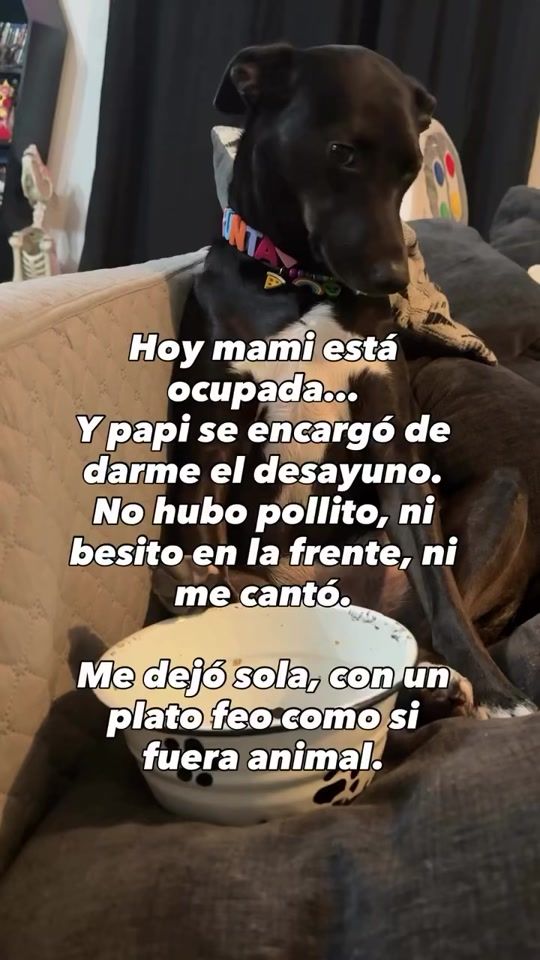 TikTok video thumbnail by masqueunamigo