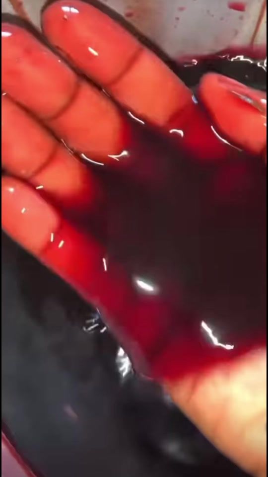 TikTok video thumbnail by vitacheveux1