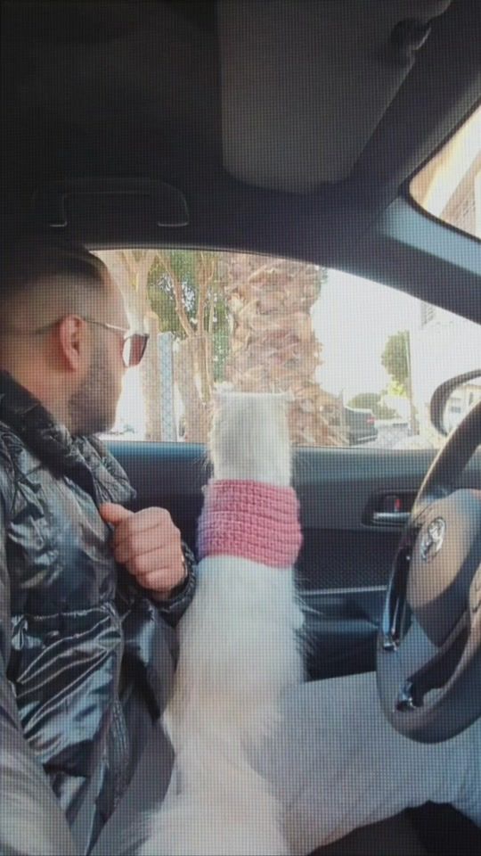 TikTok video thumbnail by salim.mecharti