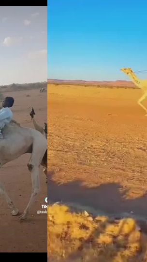 TikTok video thumbnail by ging___el___kembe