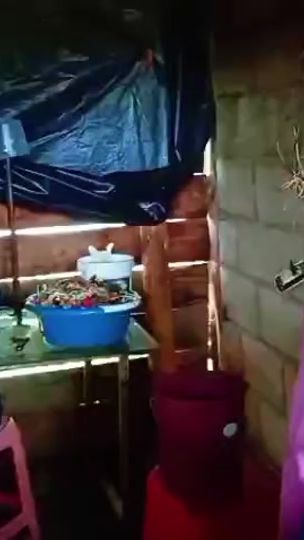 TikTok video thumbnail by nuevotiempocuenca