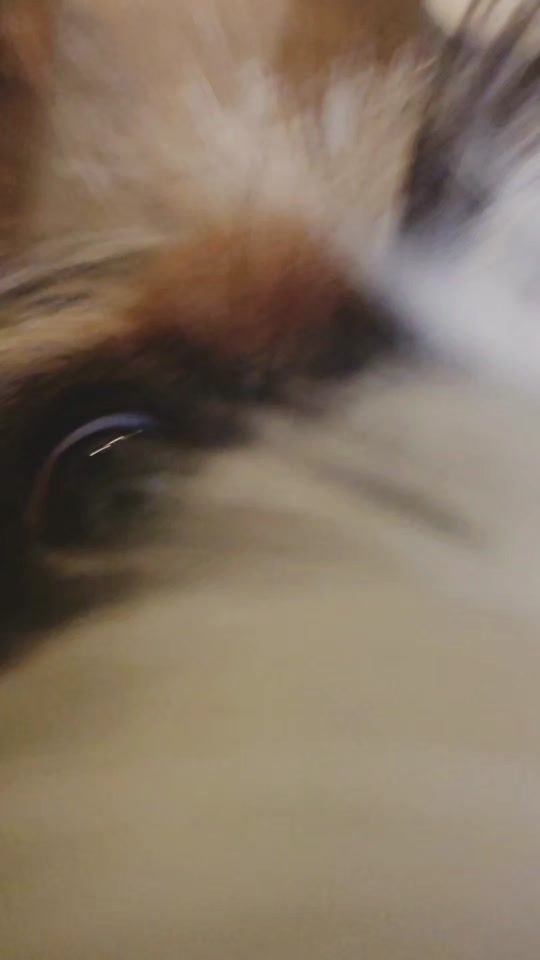 TikTok video thumbnail by unisank3ty