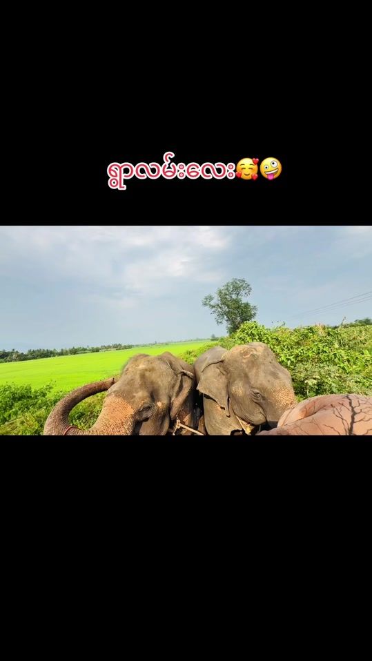 TikTok video thumbnail by waiyanlay2.2.2002