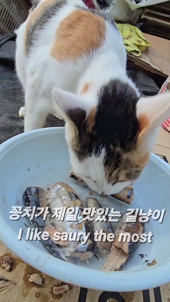 TikTok video thumbnail by power3748