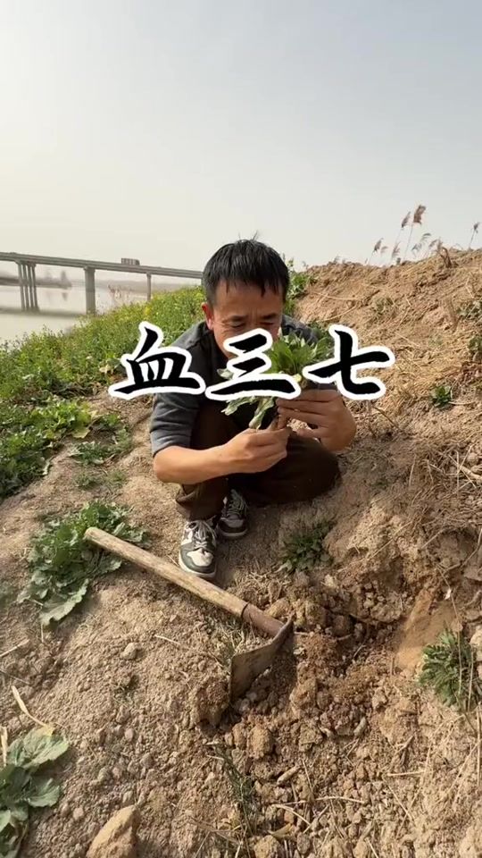 TikTok video thumbnail by sep_flying1