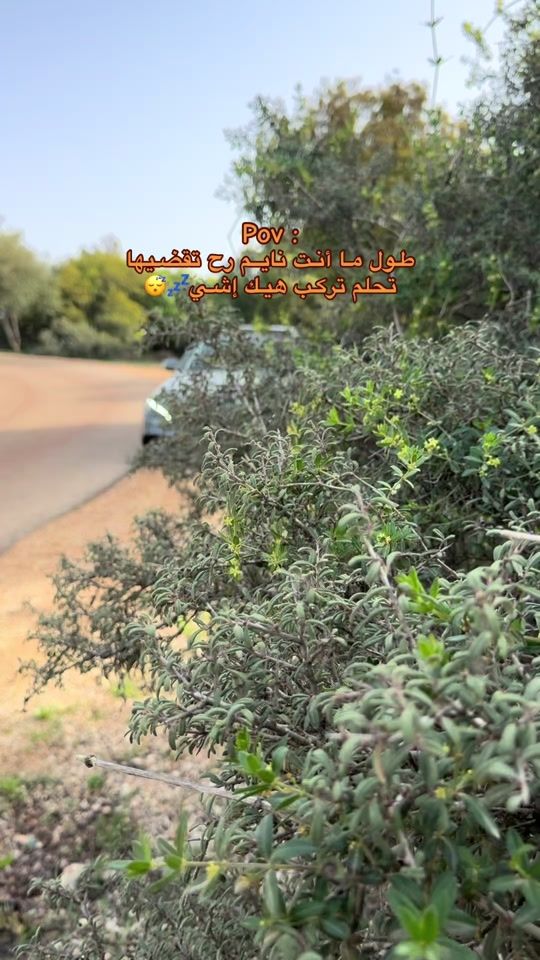 TikTok video thumbnail by khaled_63s