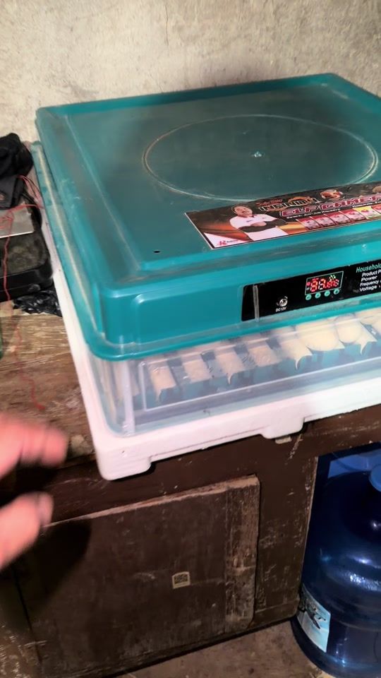TikTok video thumbnail by kuysbervan