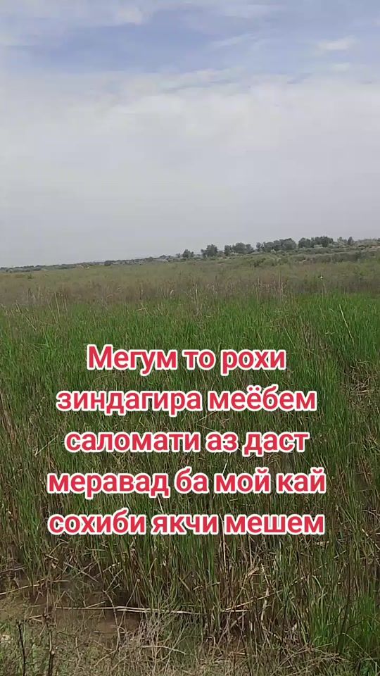TikTok video thumbnail by user22321193247993
