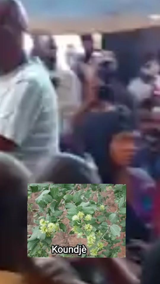 TikTok video thumbnail by mousadiallo226