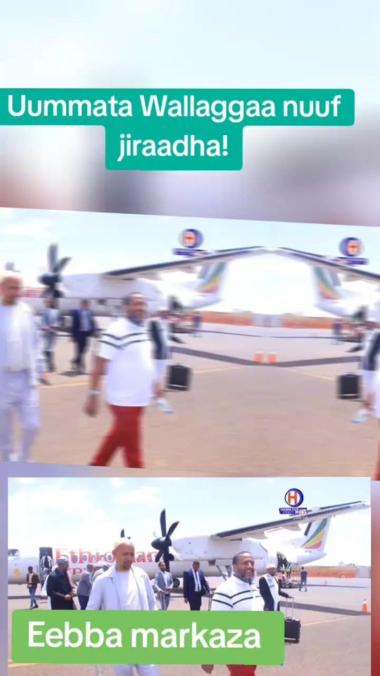 TikTok video thumbnail by kaliifaa12