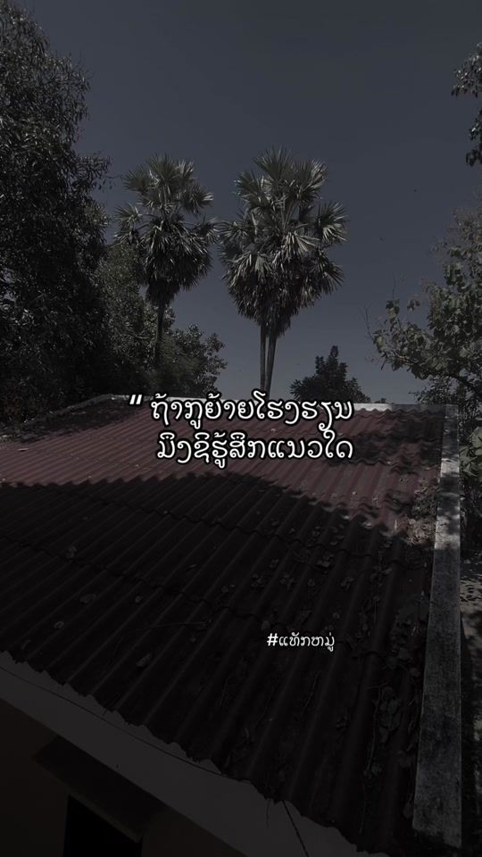TikTok video thumbnail by userx5hfoxhyv8