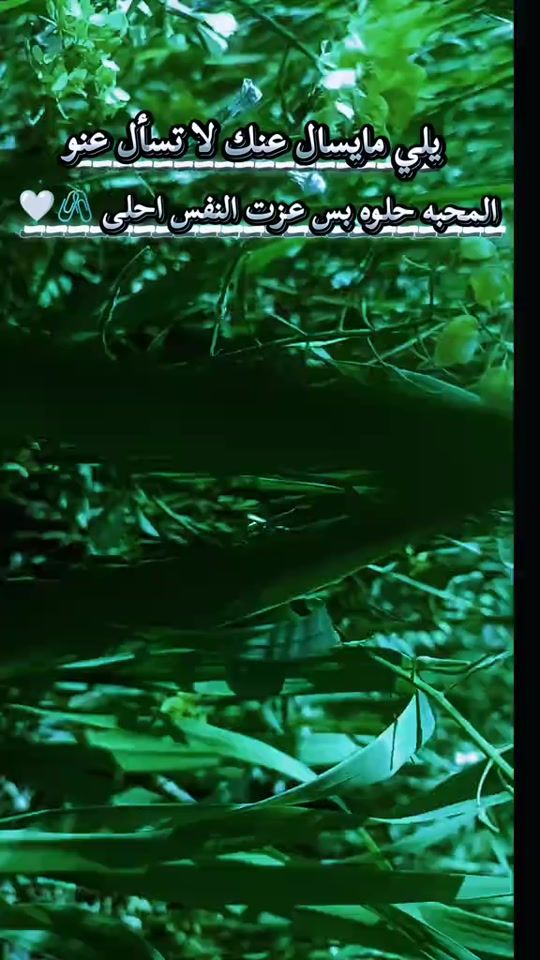TikTok video thumbnail by celia_2000_chagoury