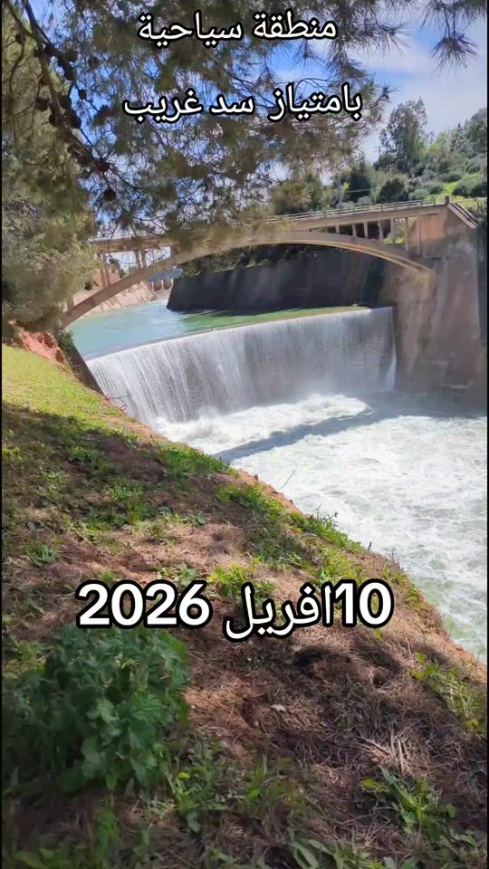 TikTok video thumbnail by mounir__ringo