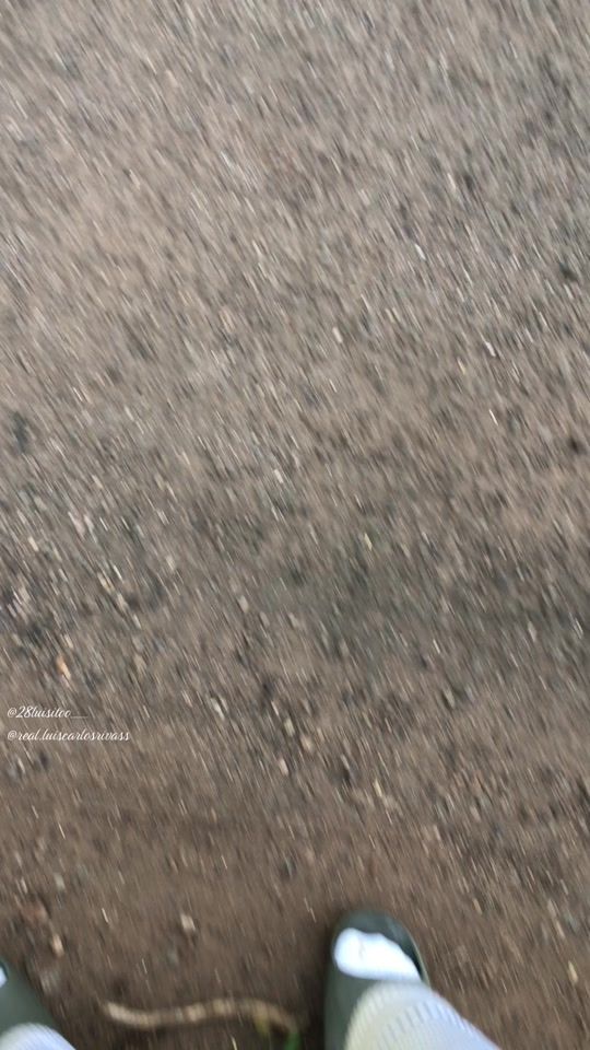 TikTok video thumbnail by iam_luisito_28