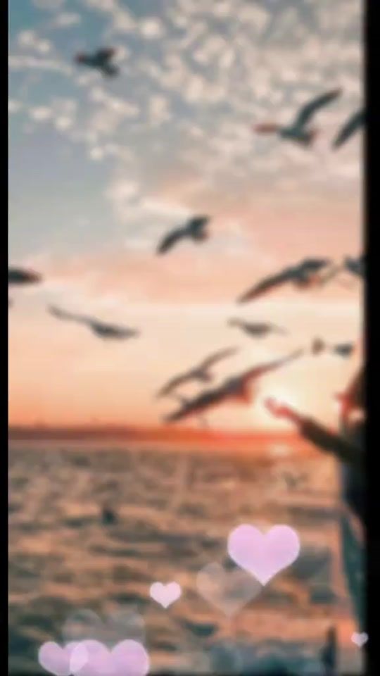 TikTok video thumbnail by melodicmuse93