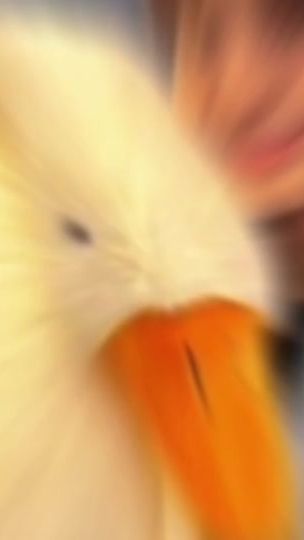 TikTok video thumbnail by user32947527574