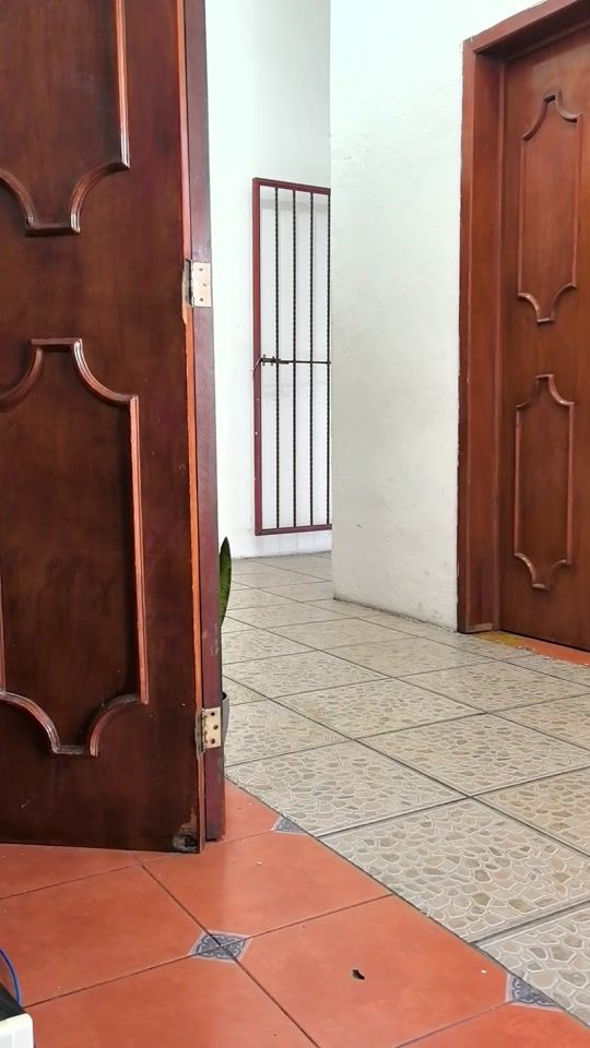 TikTok video thumbnail by ekvb87