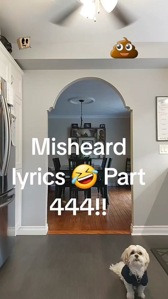 TikTok video thumbnail by theangryfrenchman