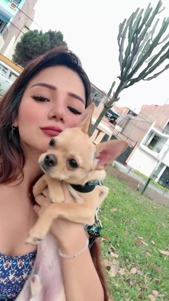 TikTok video thumbnail by priscilarebazaoficial